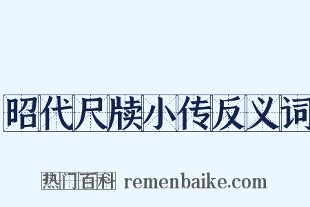 昭代尺牍小传反义词是什么意思的图片